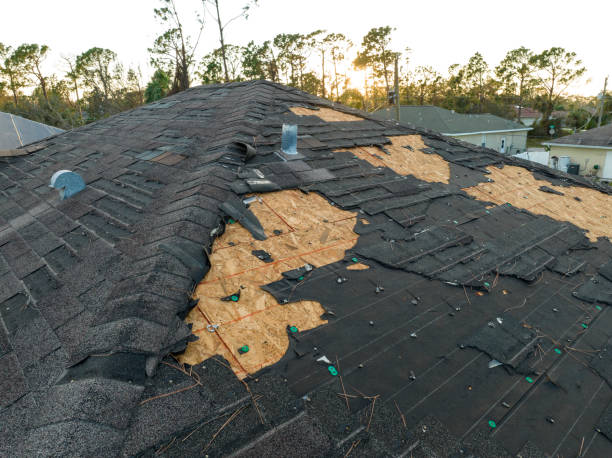 Best Roofing for New Construction  in Watertown Town, MA